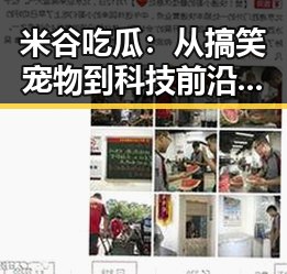 米谷吃瓜：从搞笑宠物到科技前沿，一路狂飙的多彩内容布局