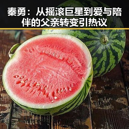 秦勇：从摇滚巨星到爱与陪伴的父亲转变引热议